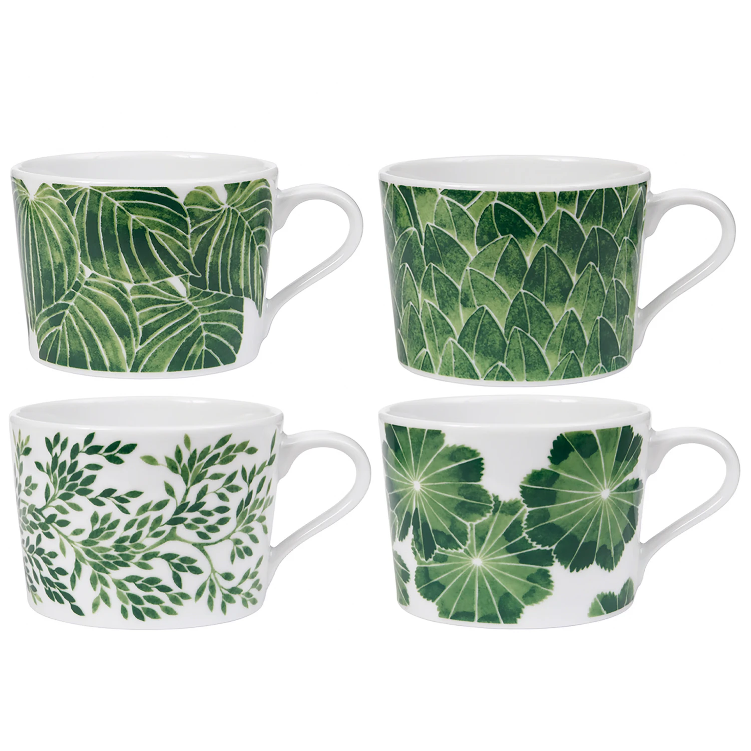 G&ouml;tefors Porslin Botanica Sett Med 4 Krus 24 Cl  -  Kaffekopper Porselen Gr&oslash;nn - 018+019+020+021