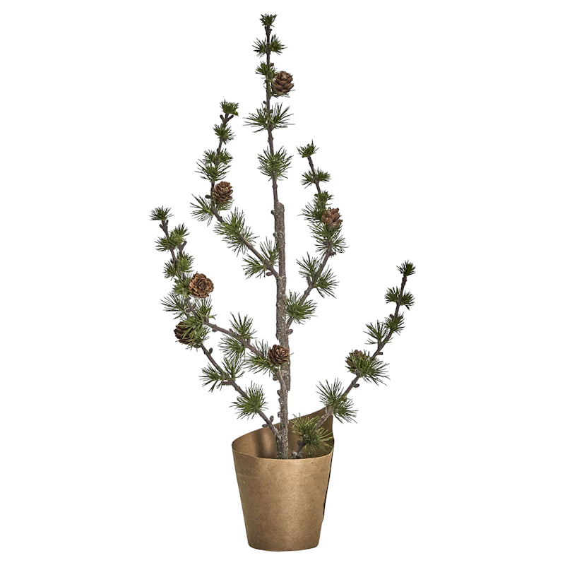 Stay Juletre, Grønn