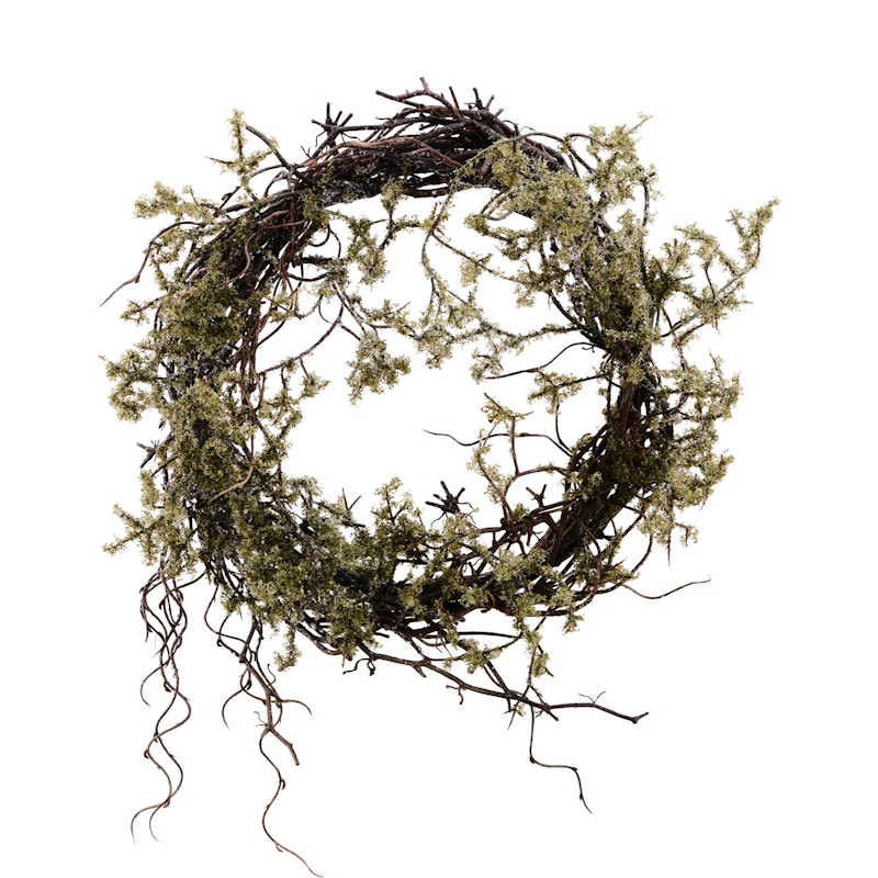Wild Moss Krans Ø47 cm, Nature