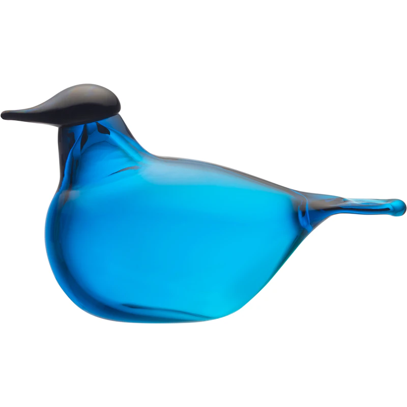 Chiffchaff Glassfugl, Turkis