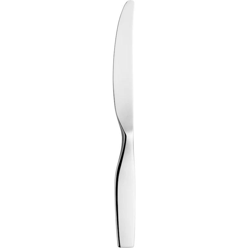 Citterio 98 Bordkniv, Skinnende