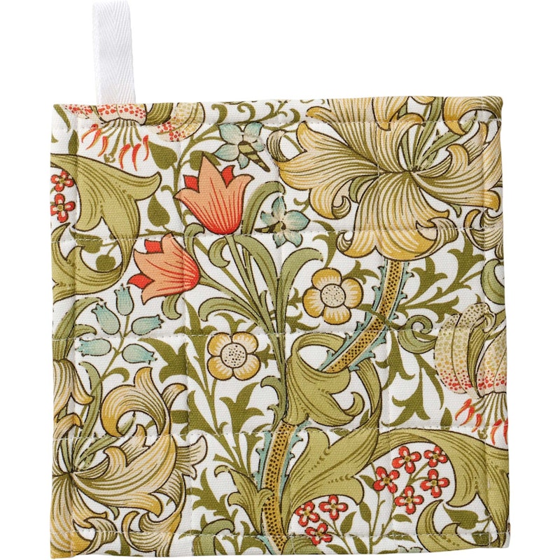 Golden Lily Gryteklut