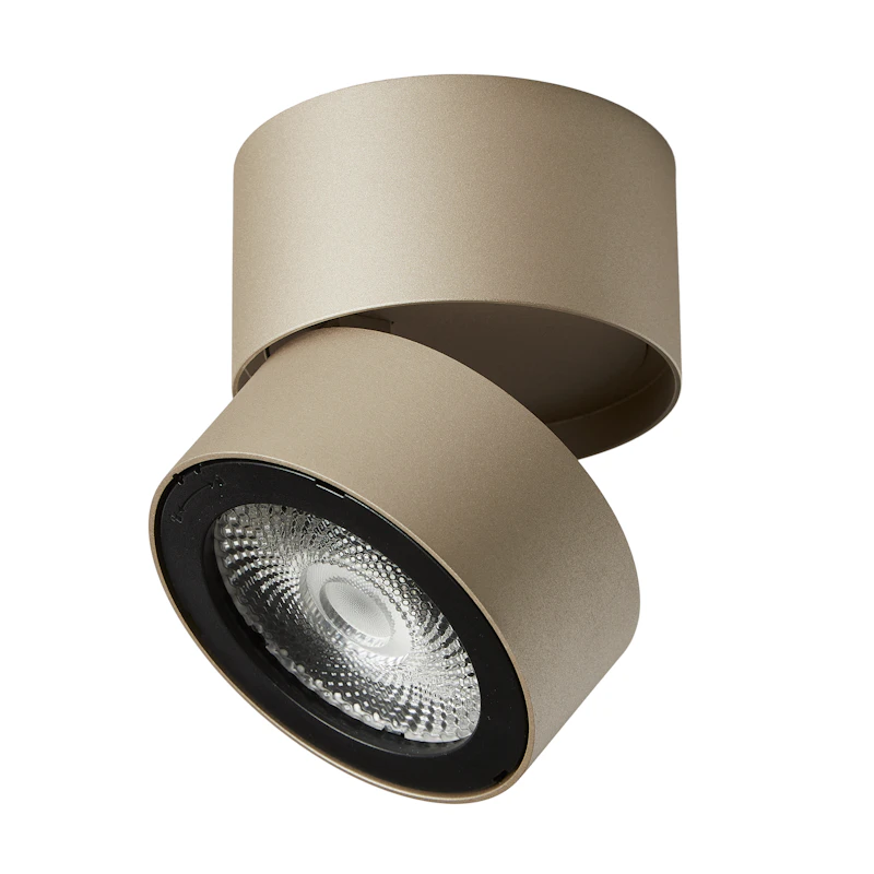 Ray Spot Takspot, Ivory Gold