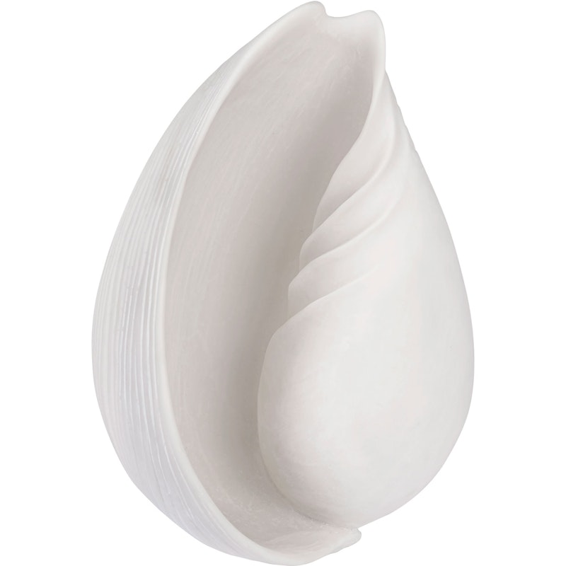 CONCH shell Dekorasjon Off-white, Stor
