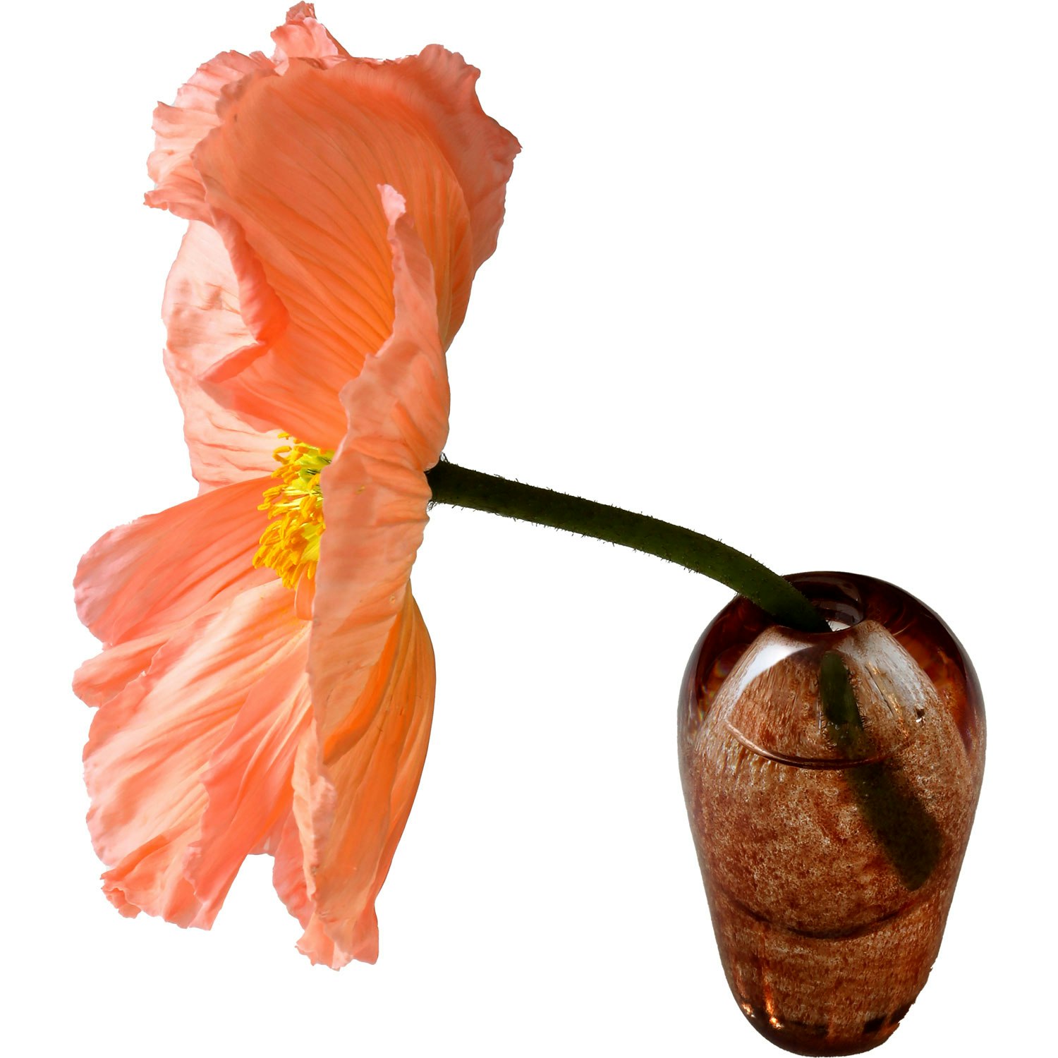 Mimou Liv Vase   -  Vaser Munnbl&aring;st Glass Brun - G05