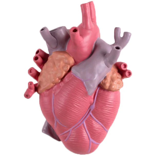 Seletti Love In Bloom Vase Color -  Vaser Porselen Rosa - 09923