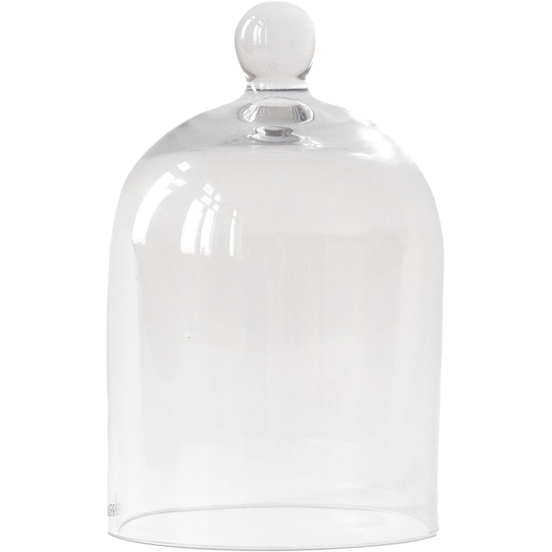 Glasskuppel Klar