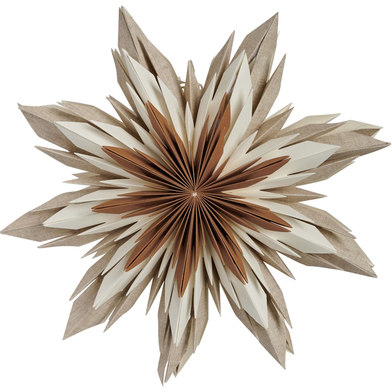 Marta 44 Christmas Star, Brown